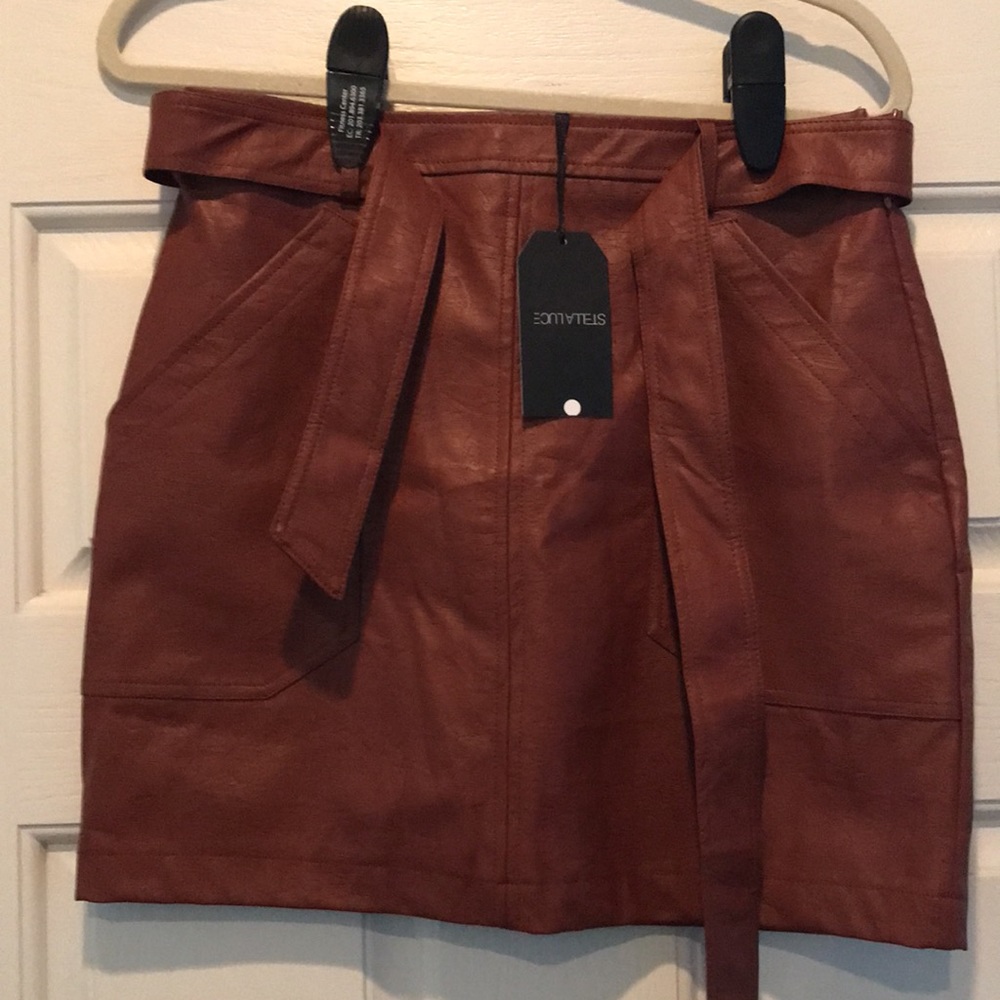 Brown Skirt